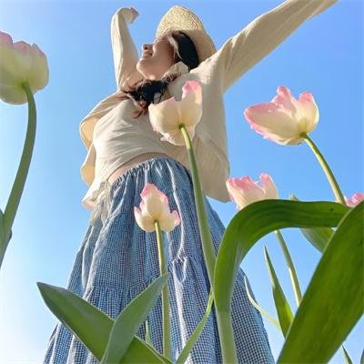 我的抗战之猎豹突击